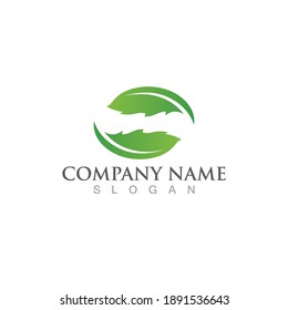 Logos of green Tree leaf ecology nature element vector