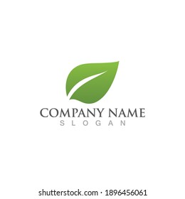 Logos of green Tree leaf ecology nature element vector