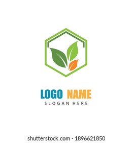 Logos of green Tree leaf ecology nature element vector