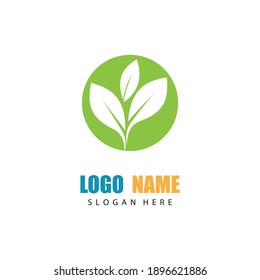 Logotipos de ecología de hoja de árbol verde elemento de naturaleza vector