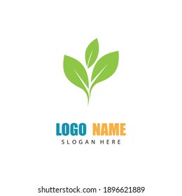 Logos of green Tree leaf ecology nature element vector
