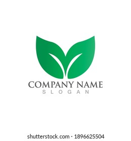Logos of green Tree leaf ecology nature element vector