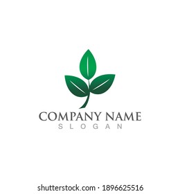 Logos of green Tree leaf ecology nature element vector