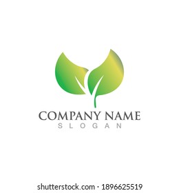 Logos of green Tree leaf ecology nature element vector