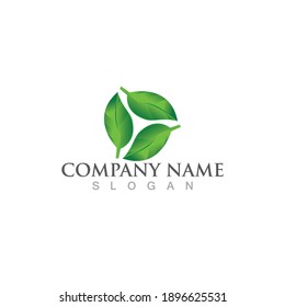 Logos of green Tree leaf ecology nature element vector