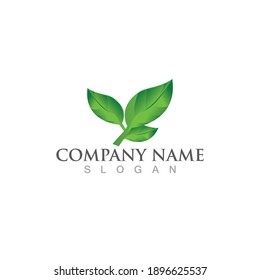 Logos of green Tree leaf ecology nature element vector