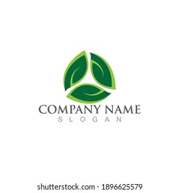 Logos of green Tree leaf ecology nature element vector