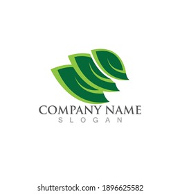 Logos of green Tree leaf ecology nature element vector