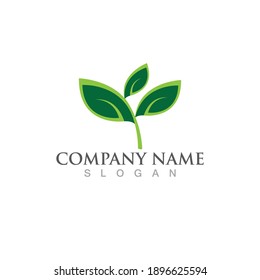 Logos of green Tree leaf ecology nature element vector