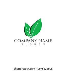 Logos of green Tree leaf ecology nature element vector