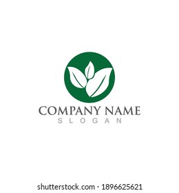 Logotipos de ecología de hoja de árbol verde elemento de naturaleza vector