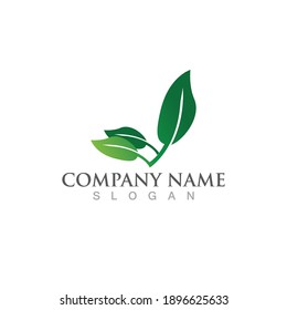 Logos of green Tree leaf ecology nature element vector
