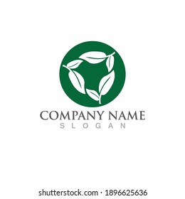 Logos of green Tree leaf ecology nature element vector