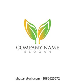 Logos of green Tree leaf ecology nature element vector