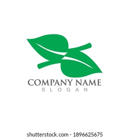 Logos of green Tree leaf ecology nature element vector