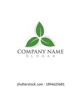 Logotipos de ecología de hoja de árbol verde elemento de naturaleza vector