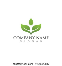 Logos of green Tree leaf ecology nature element vector