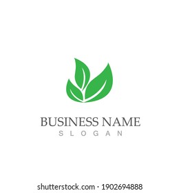 Logos of green Tree leaf ecology nature element vector