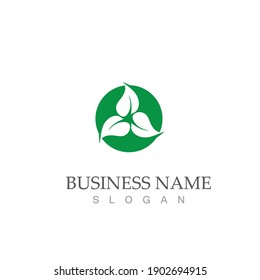 Logos of green Tree leaf ecology nature element vector