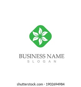 Logos of green Tree leaf ecology nature element vector