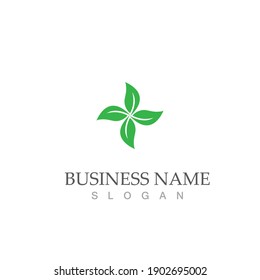 Logos of green Tree leaf ecology nature element vector