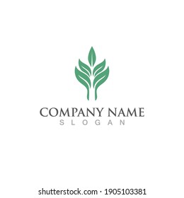 Logos of green Tree leaf ecology nature element vector