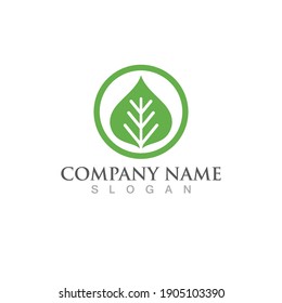 Logotipos de ecología de hoja de árbol verde elemento de naturaleza vector