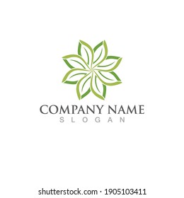 Logos of green Tree leaf ecology nature element vector
