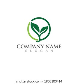 Logos of green Tree leaf ecology nature element vector
