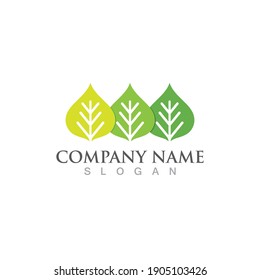 Logos of green Tree leaf ecology nature element vector
