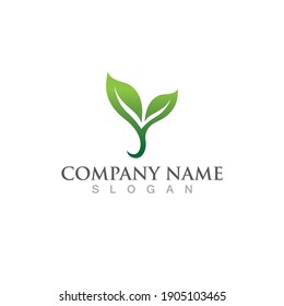 Logotipos de ecología de hoja de árbol verde elemento de naturaleza vector