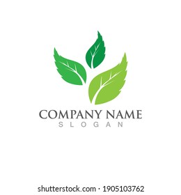 Logos of green Tree leaf ecology nature element vector