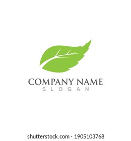 Logos of green Tree leaf ecology nature element vector