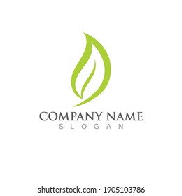Logos of green Tree leaf ecology nature element vector
