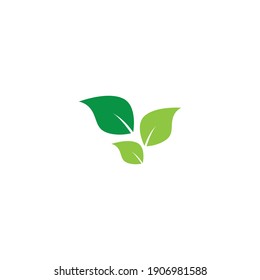 Logos of green Tree leaf ecology nature element vector
