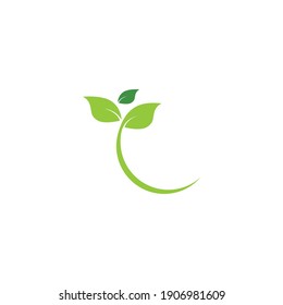 Logos of green Tree leaf ecology nature element vector