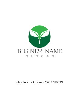 Logos of green Tree leaf ecology nature element vector
