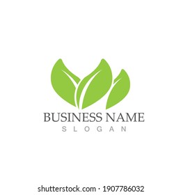 Logos of green Tree leaf ecology nature element vector