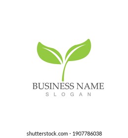 Logos of green Tree leaf ecology nature element vector