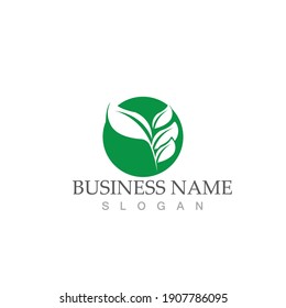 Logotipos de ecología de hoja de árbol verde elemento de naturaleza vector