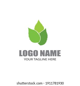 Logos of green Tree leaf ecology nature element vector