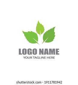 Logos of green Tree leaf ecology nature element vector