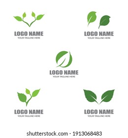 Logos of green Tree leaf ecology nature element vector
