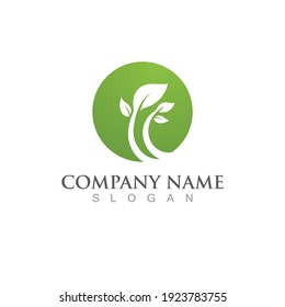 Logotipos de ecología de hoja de árbol verde elemento de naturaleza vector