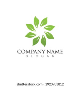 Logos of green Tree leaf ecology nature element vector