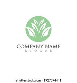 Logos of green Tree leaf ecology nature element vector