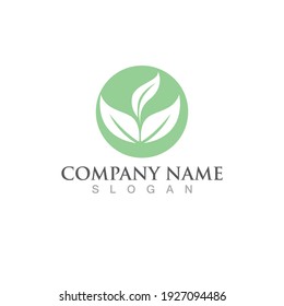Logos of green Tree leaf ecology nature element vector