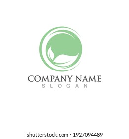 Logos of green Tree leaf ecology nature element vector
