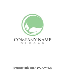 Logos of green Tree leaf ecology nature element vector