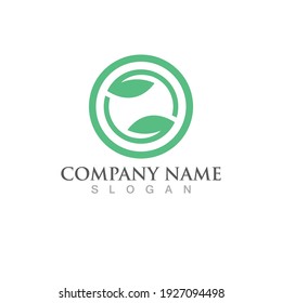Logos of green Tree leaf ecology nature element vector